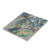 女王のpauaの貝 タイル (側面)