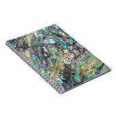 女王のpauaの貝 ノートブック (右側)