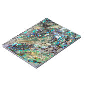 女王のpauaの貝 ノートブック (左側)