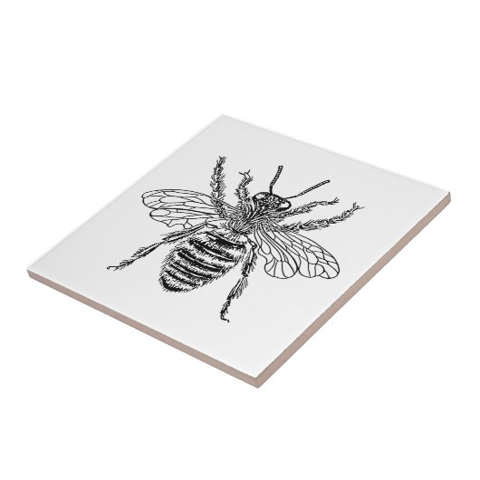 女王バチ タイル (側面)