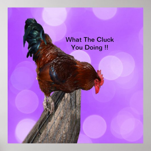 女王陛下：夢のような紫の輝きの雄鶏 ポスター (正面)