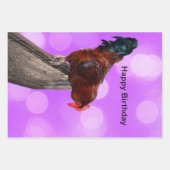 女王陛下：夢のような紫の輝きの雄鶏 ラッピングペーパーシート (正面2)