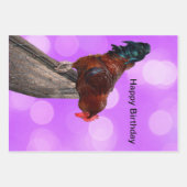 女王陛下：夢のような紫の輝きの雄鶏 ラッピングペーパーシート (正面)