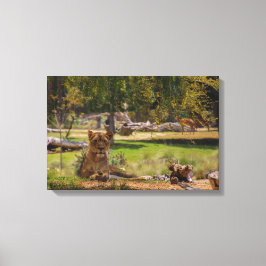 女王 キャンバスプリント