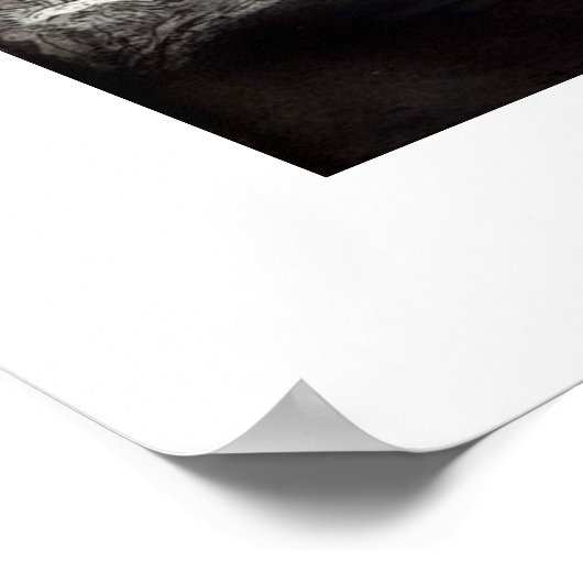 女王 ポスター (角)