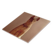 女神Bastet (pによって保護される猫の棺 タイル (側面)