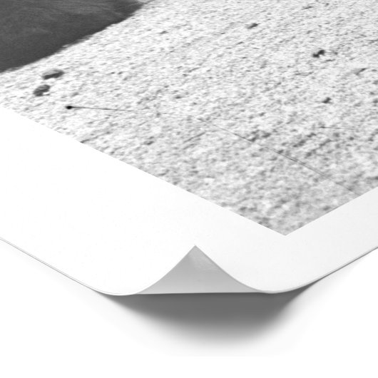 女食べ物を与えの熊。 ポスター (角)