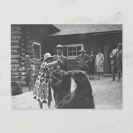 女食べ物を与えの熊。 ポストカード (正面)