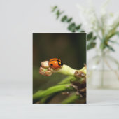 女 ポストカード (スタンド正面)