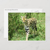 奴隷の ポストカード (正面/裏面)