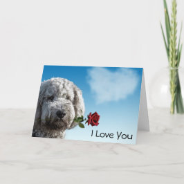 好きな紅薔薇 カード