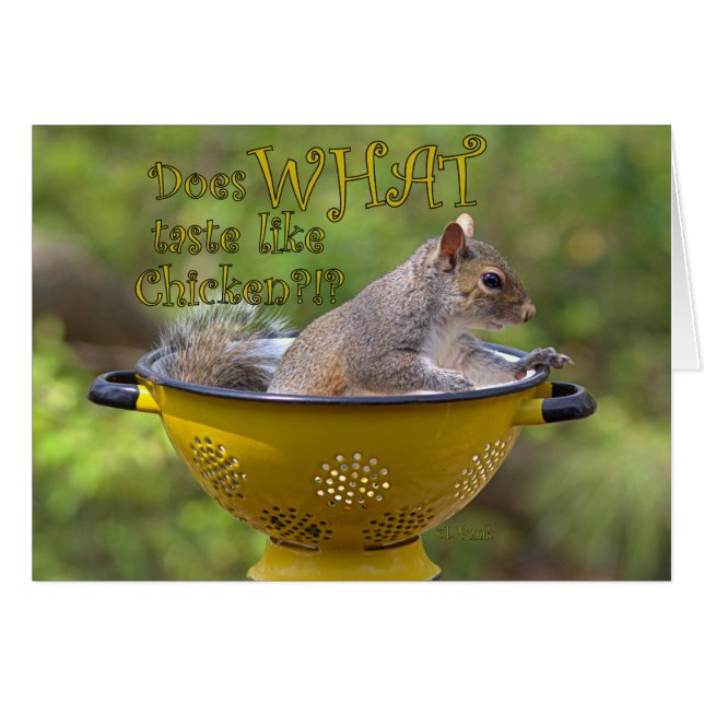 好みは鶏を好みます (正面横)