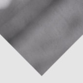 好奇なホルスタイン牛の黒と白のデコパージュ 薄葉紙 (詳細)