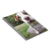 好奇な子犬 ノートブック (右側)