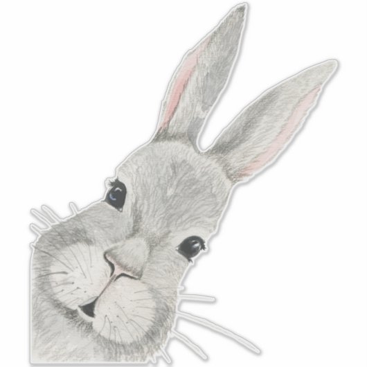 好奇のウサギうさぎ赤ちゃん部屋飾り シール (正面)