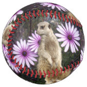 好奇のブルーム：紫のデイジーの中のミーアキャット ソフトボール (正面左)