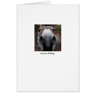 好奇心が強いろば