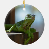好奇心が強いイグアナ セラミックオーナメント (裏面)