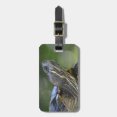 好奇心が強いカメ ラゲッジタグ (正面縦)