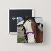 好奇心が強いクォーター馬の正方形Pin 缶バッジ (正面&裏面)