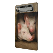 好奇心が強いコブタ ミニクリップボード (アングル2)