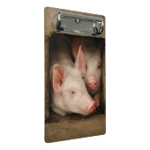 好奇心が強いコブタ ミニクリップボード (アングル)