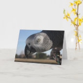 好奇心が強いコンゴのアフリカ灰色のオウム カード (黄色い花)