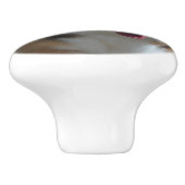 好奇心が強いコーギー セラミックノブ (側面)