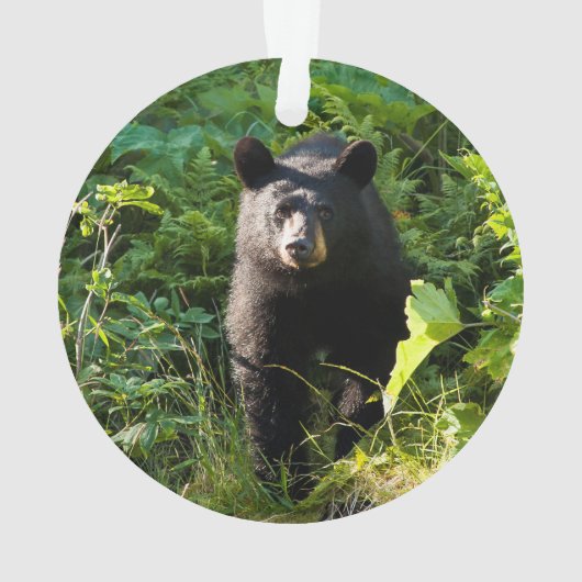 好奇心が強いツキノワグマ オーナメント (裏面)