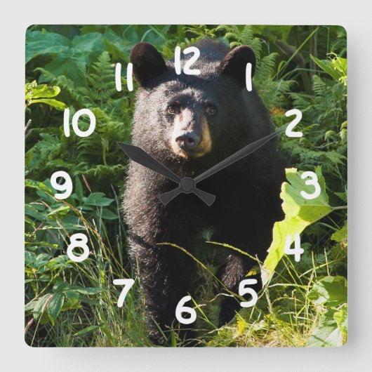 好奇心が強いツキノワグマ スクエア壁時計 (正面)