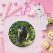 好奇心が強いツキノワグマ ペーパープレート (パーティー)