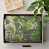 好奇心が強いツキノワグマ 薄葉紙 (ギフト)