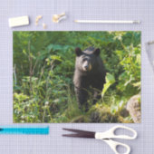 好奇心が強いツキノワグマ 薄葉紙 (クラフト)