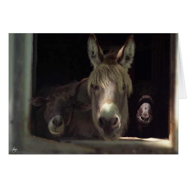 好奇心が強いトリオ (正面横)