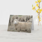 好奇心が強いヒツジ カード (黄色い花)