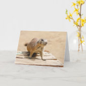 好奇心が強いプレーリードッグ カード (黄色い花)