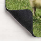 好奇心が強いベビーのガチョウおよびベビーのきのこのマウスパッド マウスパッド (コーナー)