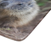 好奇心が強いベビーのMarmotのまな板 カッティングボード (角)