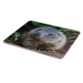 好奇心が強いベビーのMarmotのまな板 カッティングボード (角)