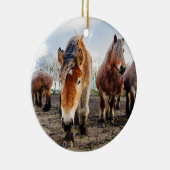 好奇心が強いベルギーのばん馬下方から セラミックオーナメント (右)