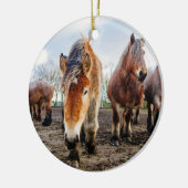 好奇心が強いベルギーのばん馬下方から セラミックオーナメント (左)