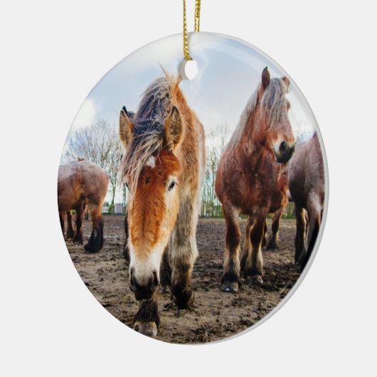 好奇心が強いベルギーのばん馬下方から セラミックオーナメント (左)