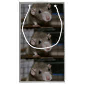 好奇心が強いラット スモールペーパーバッグ (裏面)