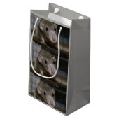 好奇心が強いラット スモールペーパーバッグ (裏面アングル)