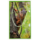 好奇心が強いリスのギフトバッグ スモールペーパーバッグ (裏面)