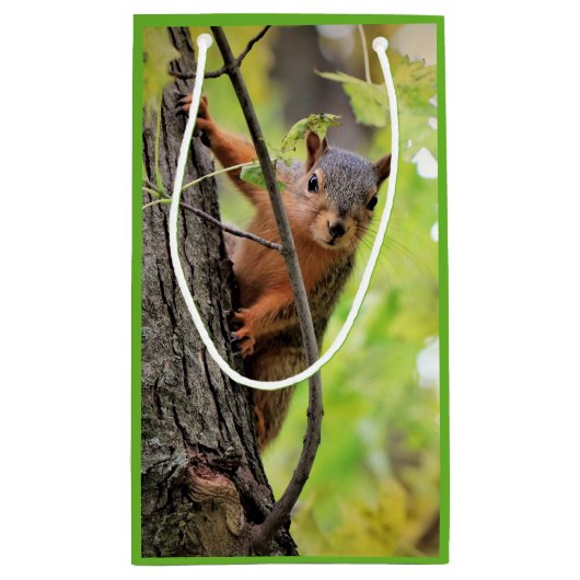 好奇心が強いリスのギフトバッグ スモールペーパーバッグ (裏面)