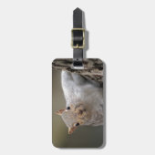 好奇心が強いリス ラゲッジタグ (正面縦)