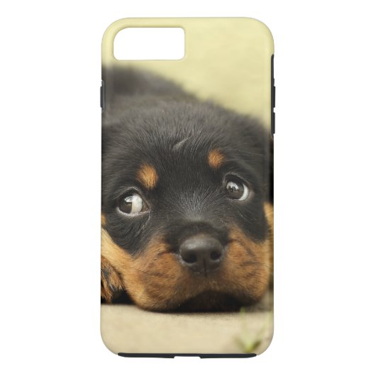 好奇心が強いロットワイラーの小犬 Case-Mate iPhoneケース (裏面)
