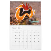 好奇心が強い創造物のグレート・バリア・リーフの珊瑚海 カレンダー (2月 2026)