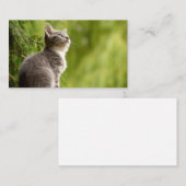 好奇心が強い子ネコ 名刺 (正面/裏面)